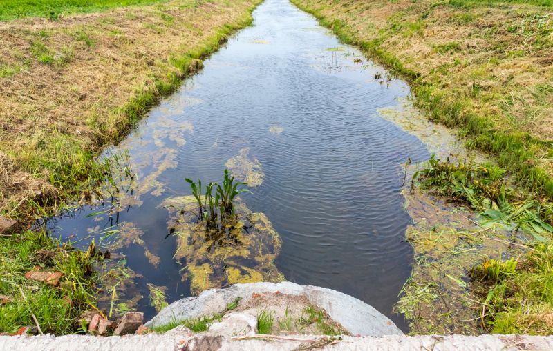 Pond Soil Erosion Management