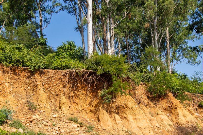 Soil Composition and Erosion Severity