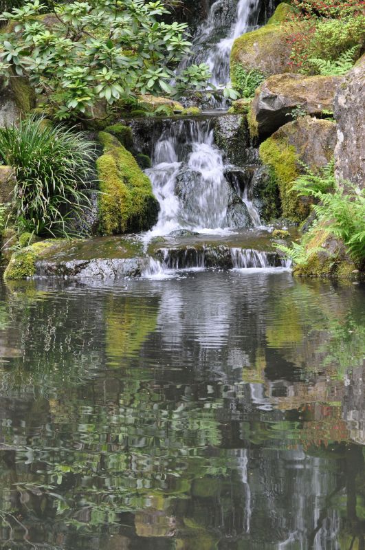 Post-Intervention Monitoring