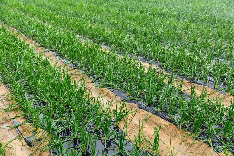 Agricultural Extension Agents